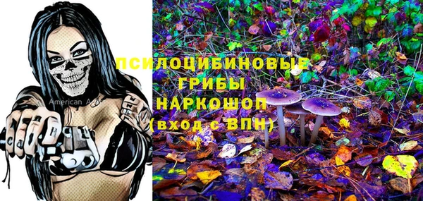 молекула духа Алзамай