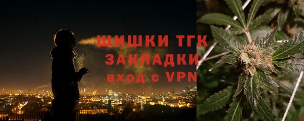 молекула духа Алзамай