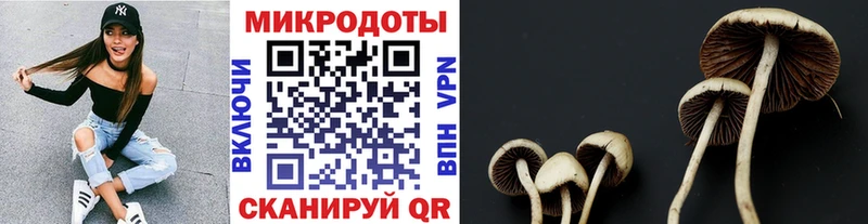 ссылка на мегу как зайти  Салехард  Псилоцибиновые грибы мицелий 