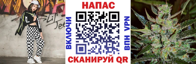darknet официальный сайт  Салехард  Шишки марихуана конопля 
